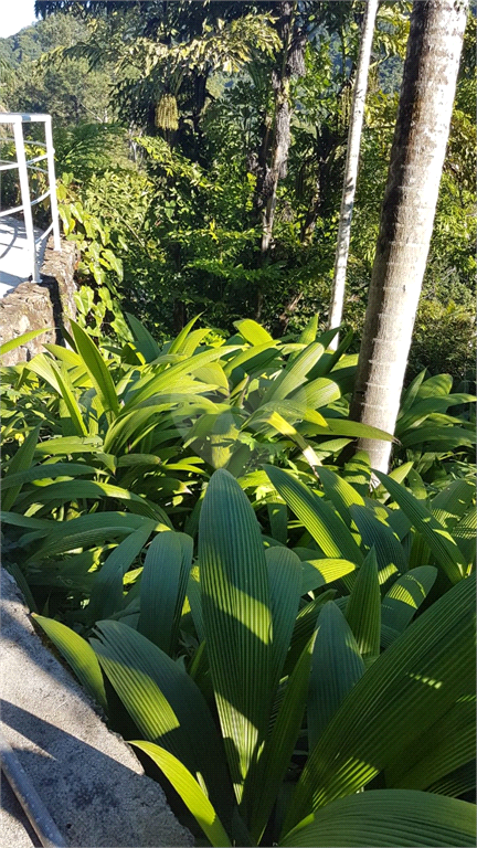 Venda Sobrado Ubatuba Praia Vermelha REO915768 10