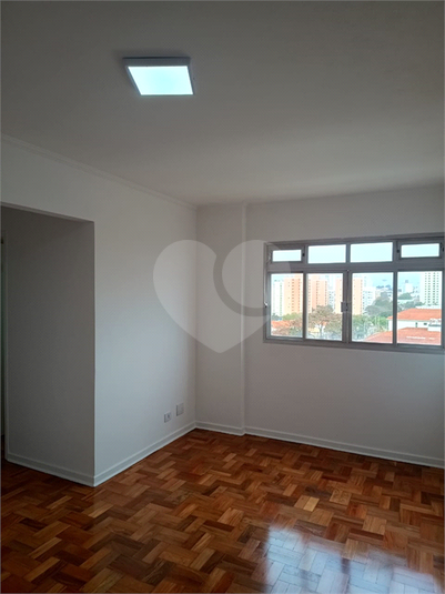 Foto REO915846