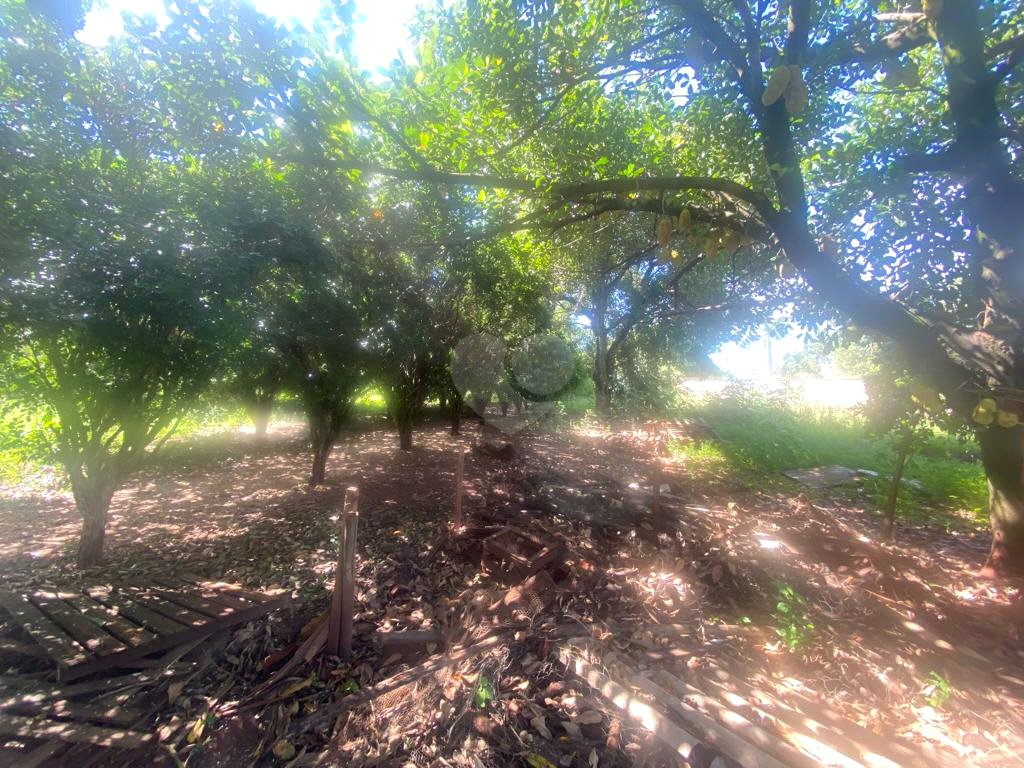 Venda Chácara Lençóis Paulista Chácaras Santo Antônio REO915877 9