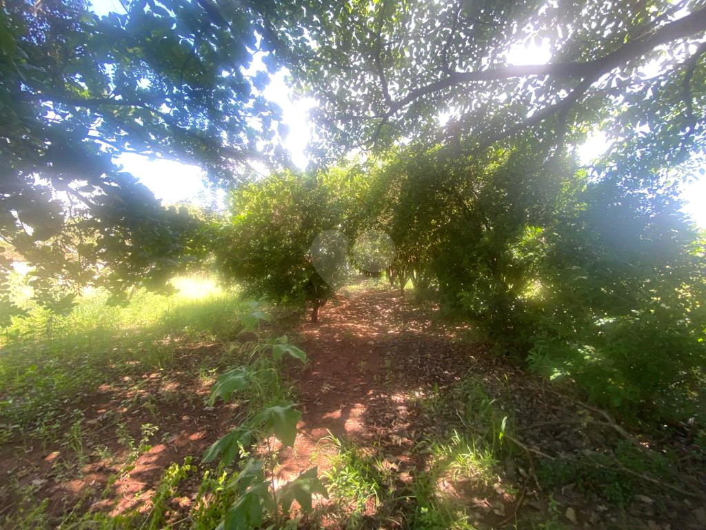 Venda Chácara Lençóis Paulista Chácaras Santo Antônio REO915877 7