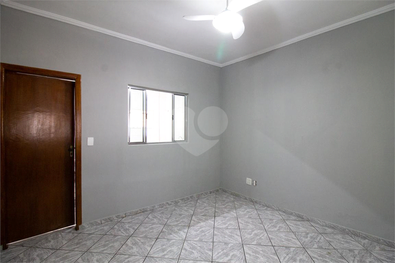 Foto REO916587