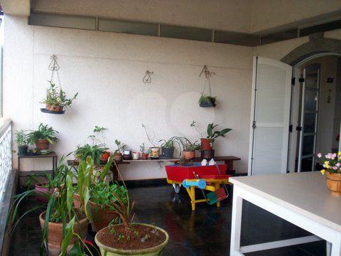 Foto REO91673