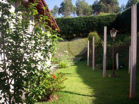 Foto REO91673