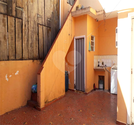 Foto REO917179