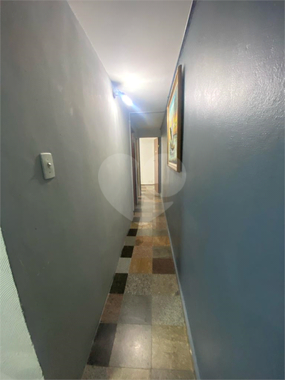 Foto REO917264