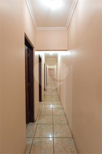 Foto REO917588