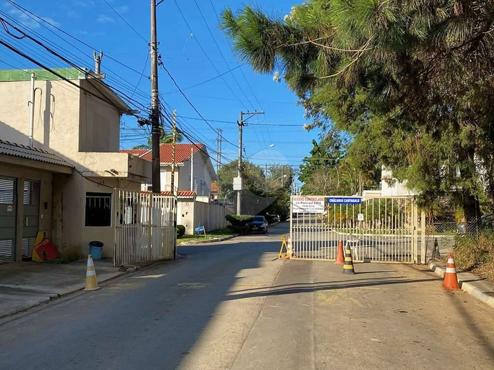 Foto REO917607