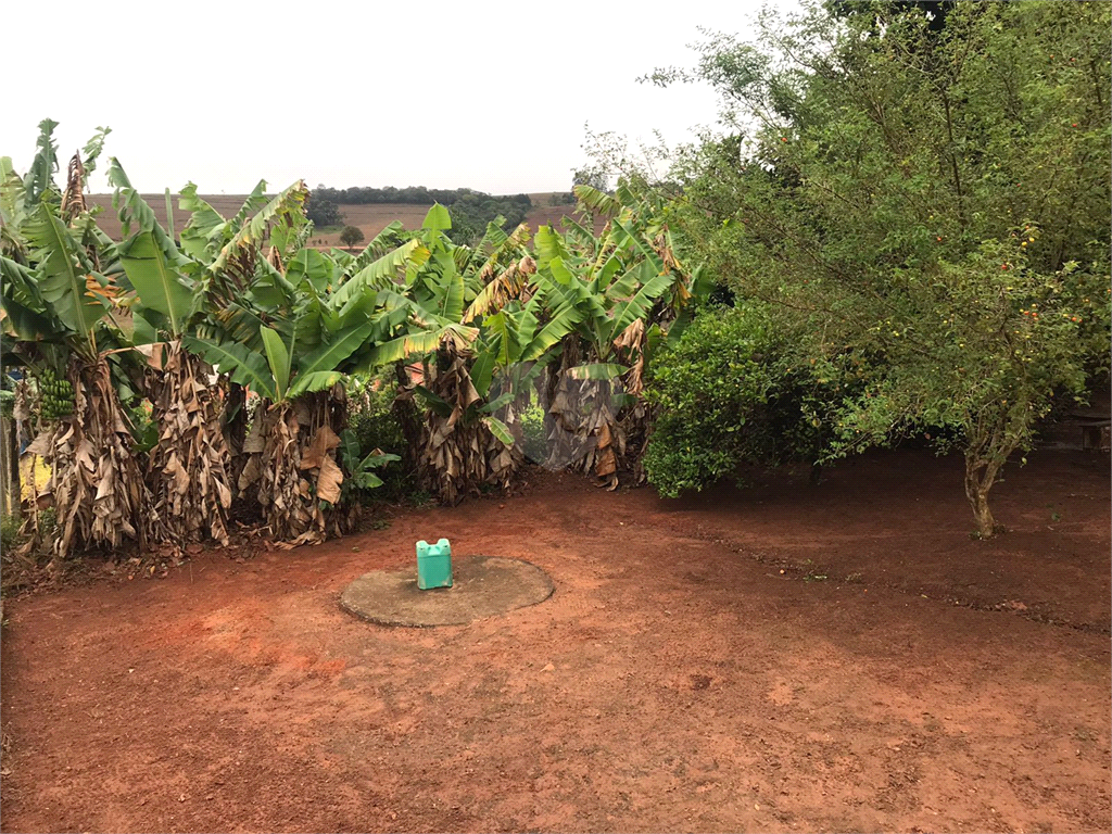 Venda Chácara Itapetininga Área Rural De Itapetininga REO917892 10