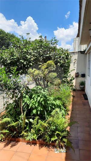 Venda Casa São Paulo Vila Bertioga REO918060 2