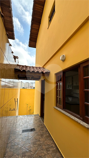Foto REO918272