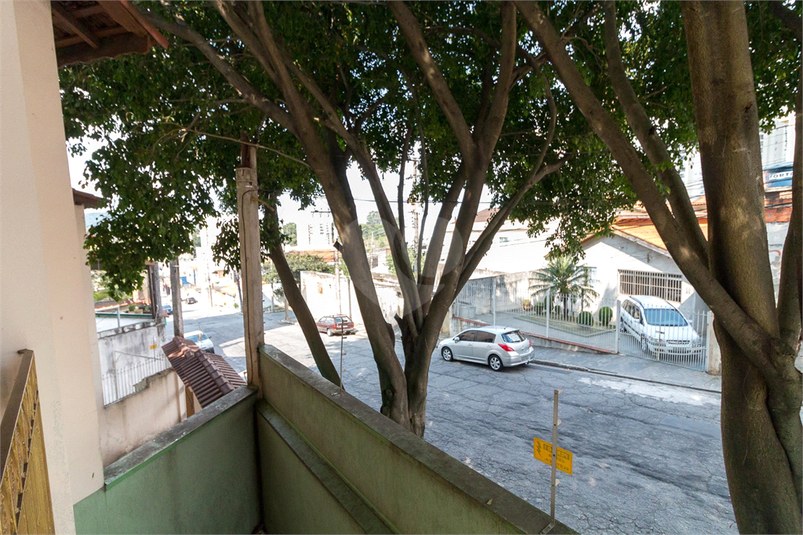 Foto REO918388