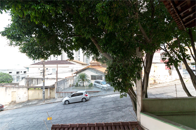 Foto REO918388