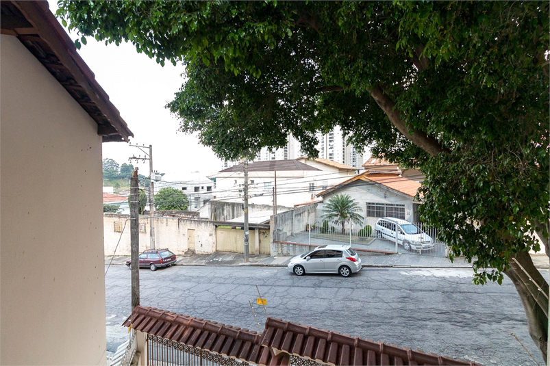 Foto REO918388