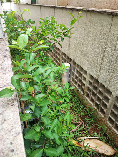 Venda Garden São Paulo Mooca REO918391 48