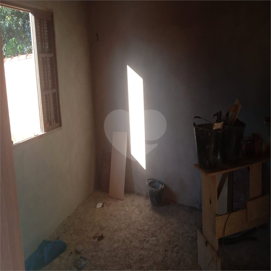 Foto REO918433