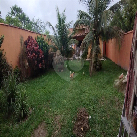 Foto REO918433