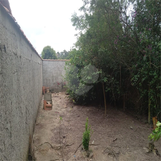 Foto REO918433