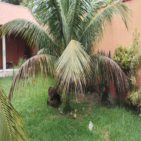 Foto REO918433