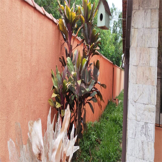 Foto REO918433