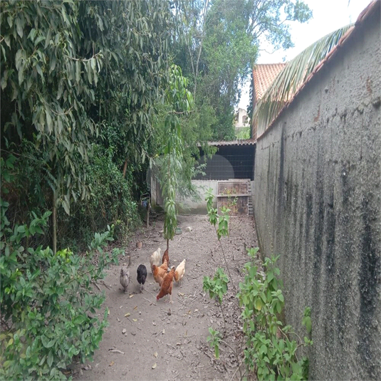 Foto REO918433
