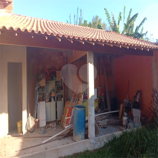 Foto REO918433