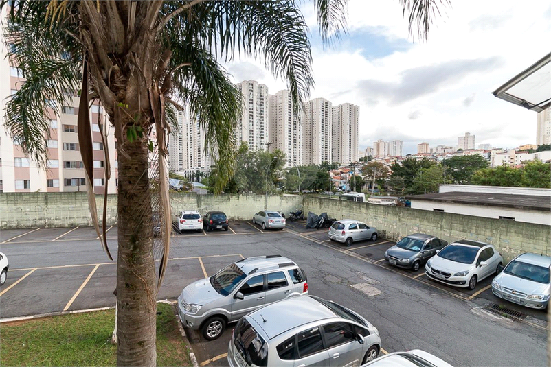 Foto REO918512