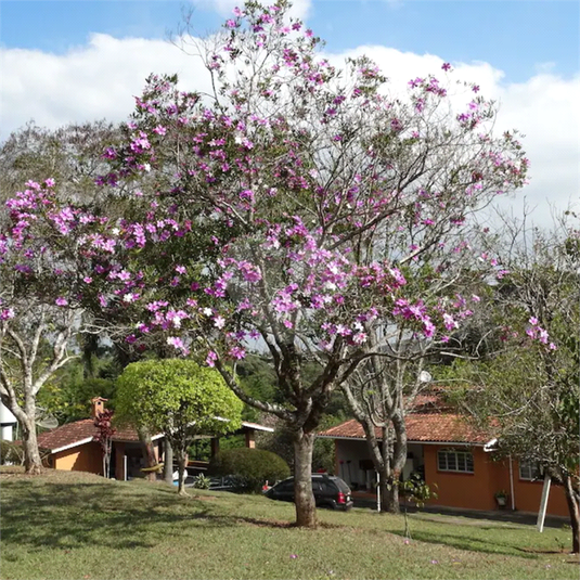 Venda Chácara São Roque Centro (são João Novo) REO918889 35