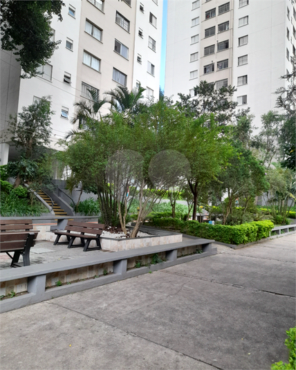 Foto REO918952