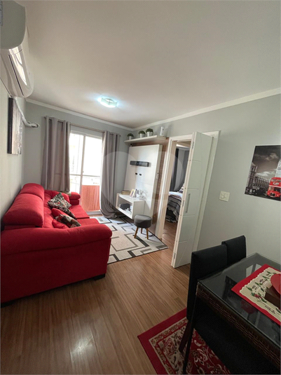 Foto REO919075