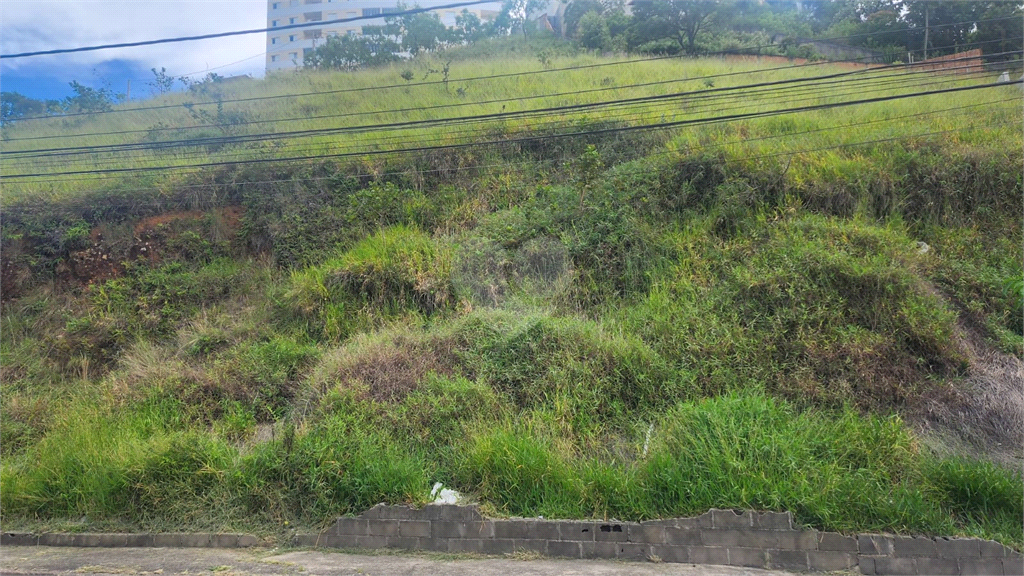 Venda Terreno Poços De Caldas Jardim Cascatinha REO919939 13