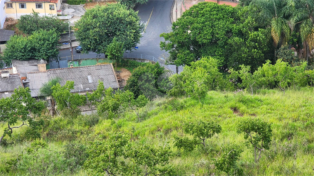 Venda Terreno Poços De Caldas Jardim Cascatinha REO919939 4