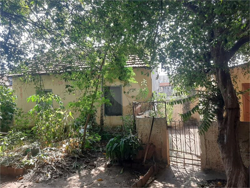 Venda Casa Limeira Boa Vista REO920184 4