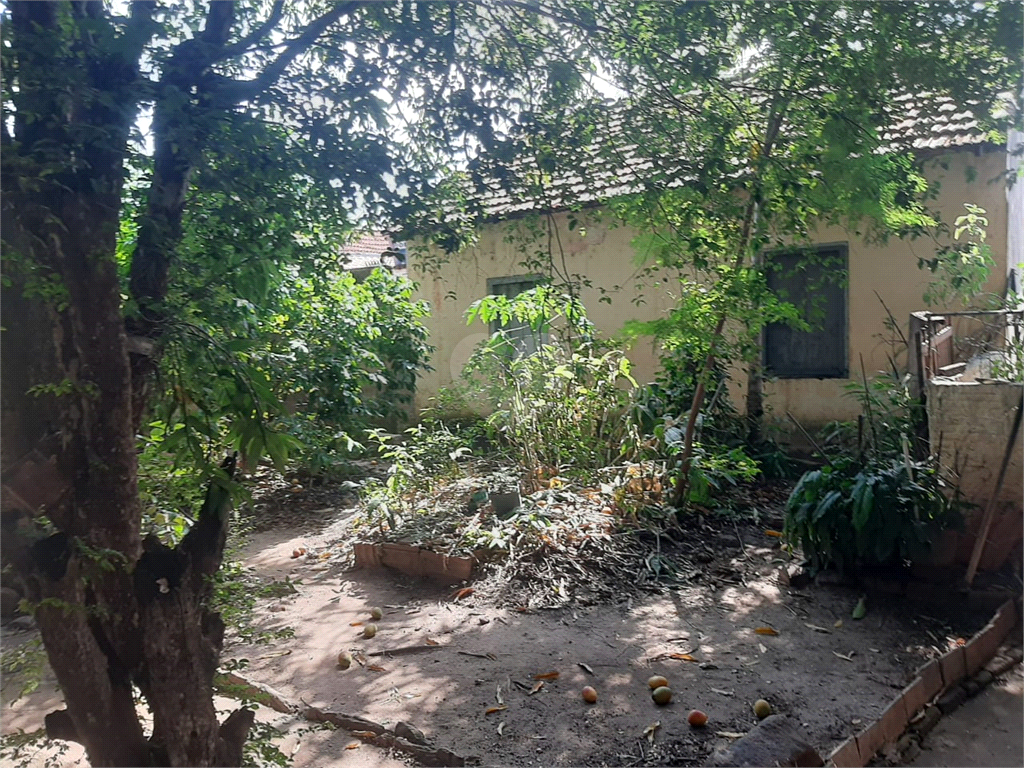 Venda Casa Limeira Boa Vista REO920184 1