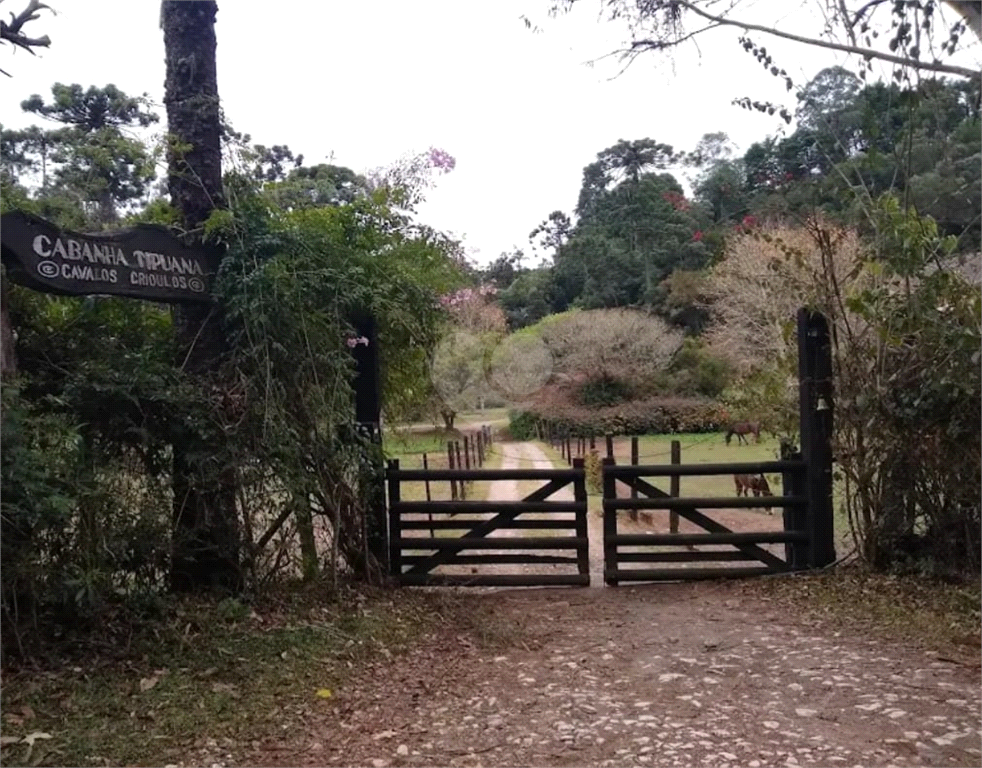 Venda Terreno Campos Do Jordão Descansópolis REO920979 6