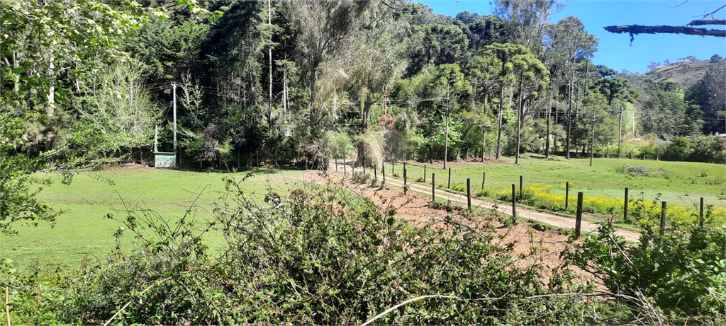 Venda Terreno Campos Do Jordão Descansópolis REO920979 2