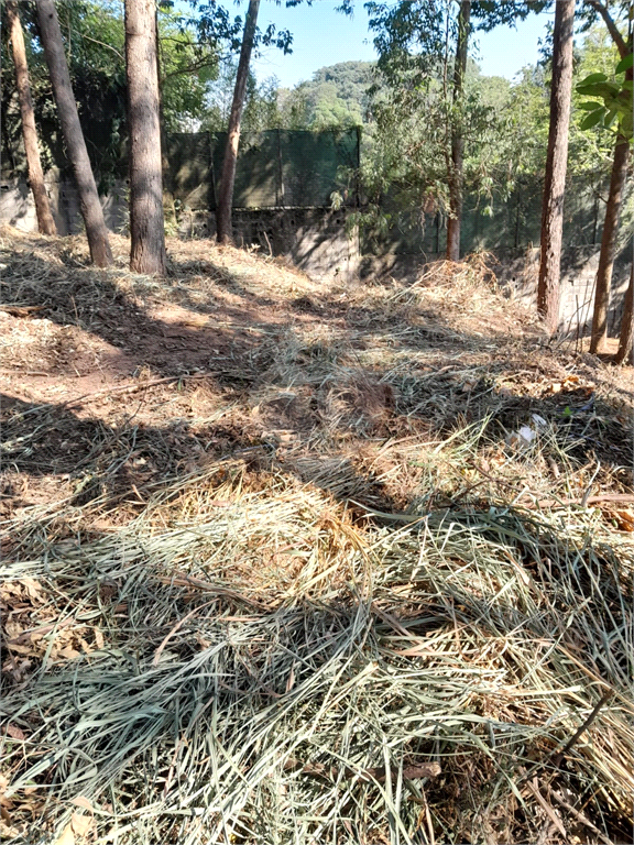 Venda Terreno São Paulo Morumbi REO921333 1