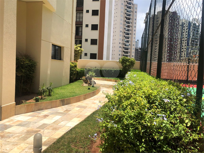 Aluguel Apartamento São Paulo Vila Regente Feijó REO921613 38