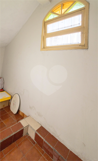 Foto REO921762
