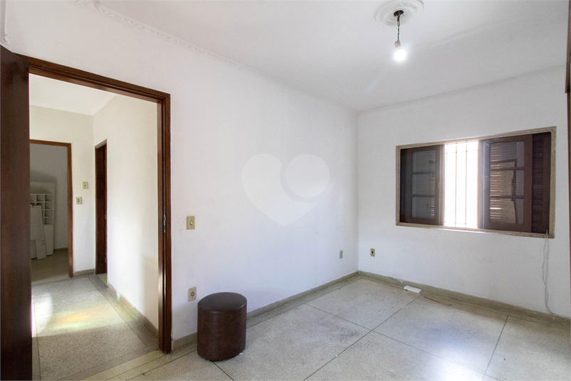 Foto REO921762