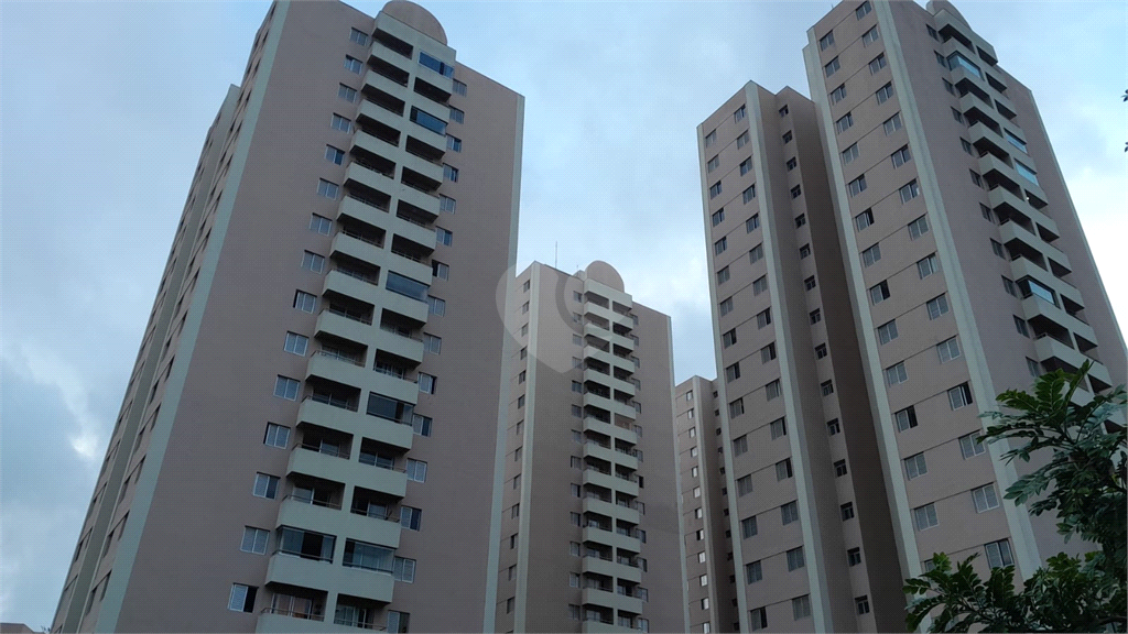 Venda Apartamento São Paulo Jardim Jaqueline REO922091 16