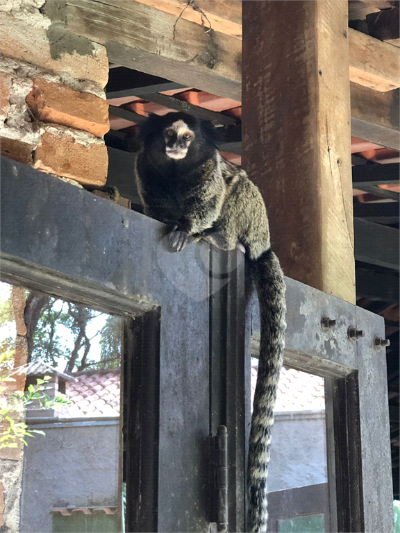 Venda Chácara Jundiaí Jardim Tarantela REO922239 3