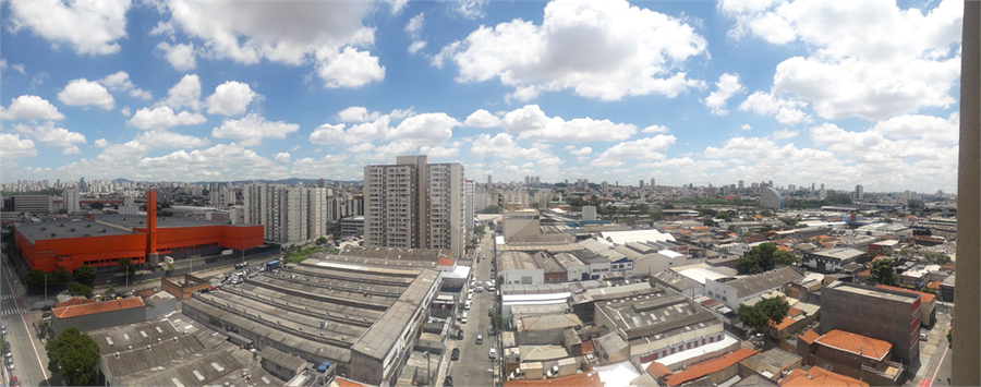 Foto REO922344