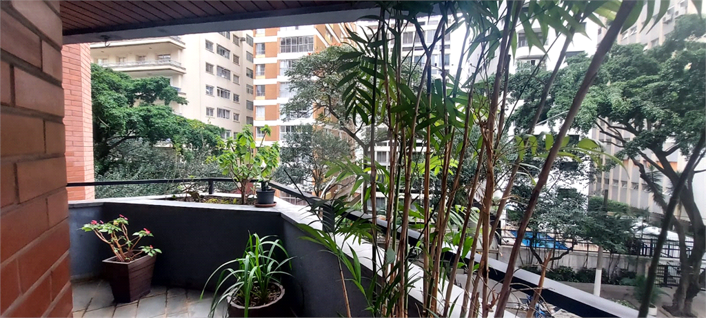 Venda Apartamento São Paulo Higienópolis REO922405 3