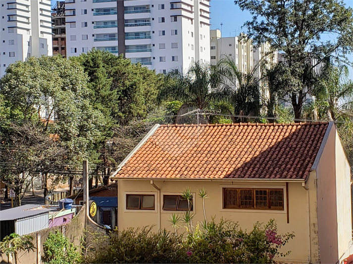 Foto REO922427