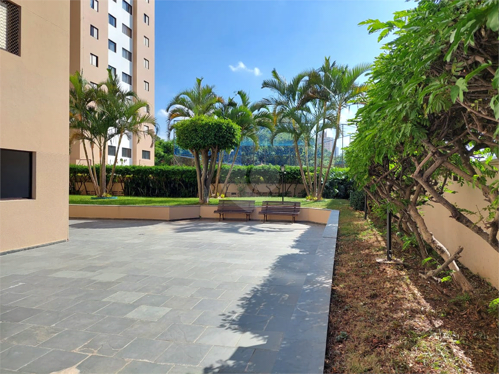 Venda Apartamento São Paulo Vila Mangalot REO922674 20