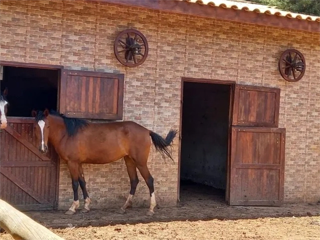 Venda Chácara Bragança Paulista Portal São Marcelo REO922830 14