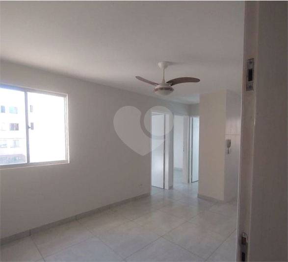 Foto REO923049