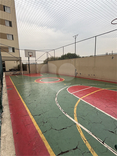 Foto REO923379