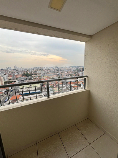 Foto REO923379