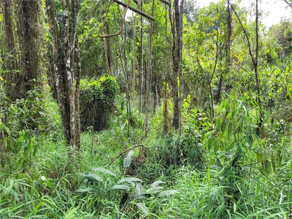 Venda Condomínio Mairiporã Caraguatá REO923384 4